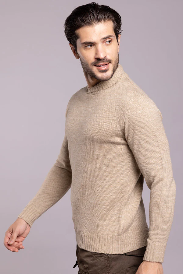 Dk Beige High Neck Pullover Sweater - Image 3