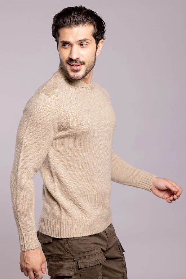 Dk Beige High Neck Pullover Sweater - Image 4